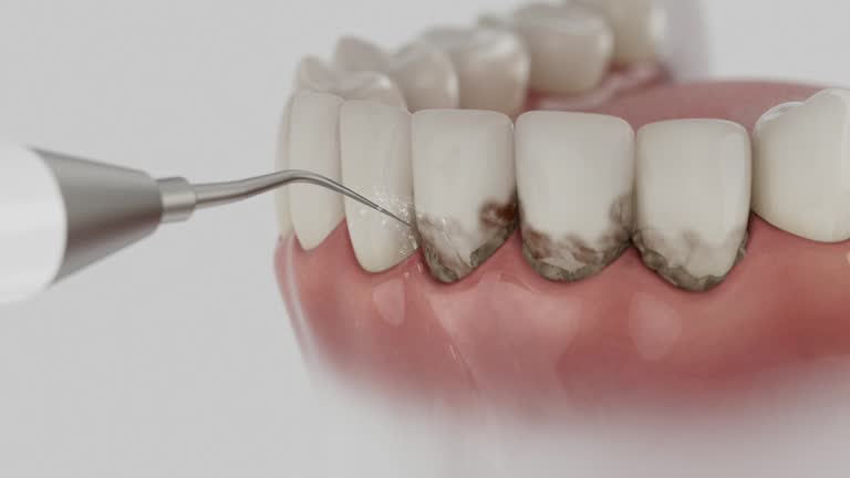 Reliable Dental contractor in Richland Parish County, LA by Dentist Open Now